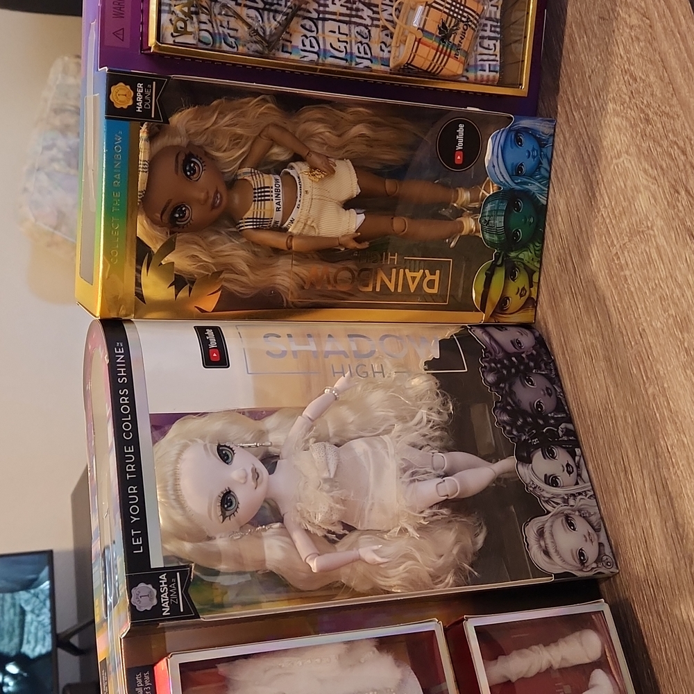 Rainbow High & Shadow High Dolls